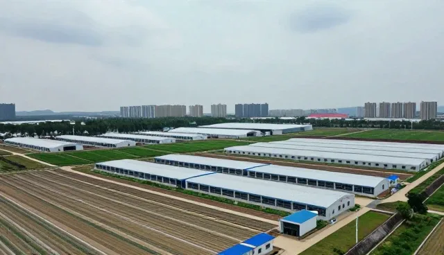 售后维修中选型关注点的深度分析
