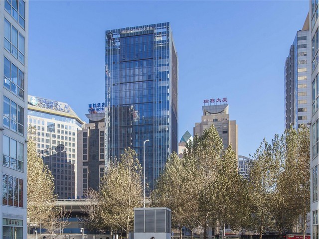 上海城市WindPerfectDX风模拟